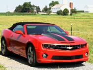 Paint Protection
